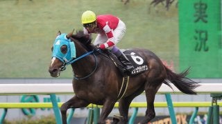 【福島9R/開成山特別】障害の絶対王者オジュウチョウサンが異例の参戦！開成山特別で平地競走初勝利！