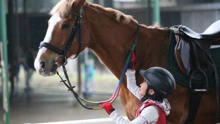 レッスン代無料！こども向け乗馬教室が8月末まで開催