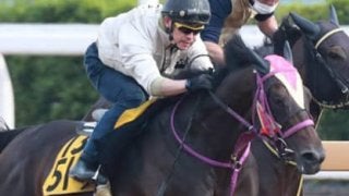 荒れる函館記念。巴賞組２頭と洋芝巧者１頭が「ボチボチ勝つ」と立候補