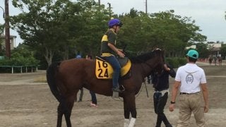 【プロキオンS】ブラゾンドゥリス 武藤雅の手腕に注目