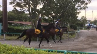 【七夕賞】サーブルオール 関東のエース格