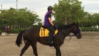 【七夕賞】マイネルサージュ ハンデ戦ならチャンス十分