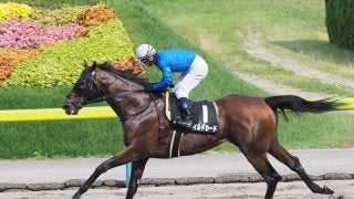 【福島10R/天の川賞】ダートの新星現る！？ワイルドカードが圧巻の逃げ切り！