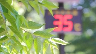 真夏日は要注意！熱中症対策