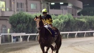 【JDダービー】武豊「脚が上がってしまった」2番人気ドンフォルティス6着敗退