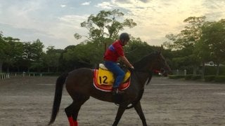 【バーデンバーデンC】アイライン 少頭数歓迎で終いの脚を生かす