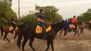 【バーデンバーデンC】ノットフォーマル軽量50キロで有利