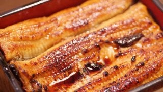 しっかり栄養を摂って夏バテ予防をしよう