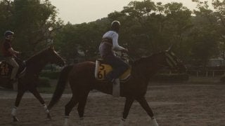 【中京記念】グレーターロンドン 暑さを凌ぎ初重賞制覇へ