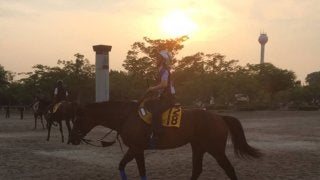 【福島テレビオープン】テオドール 小回り対応カギ