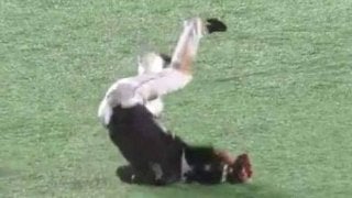 チームを救うスーパープレー！　ロッテ藤岡裕が見せた驚愕キャッチが凄い