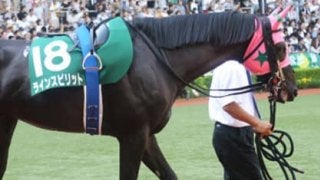 アイビスSDは舞台適性を重視。相性バッチリの３頭が主役の座を狙う