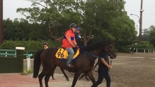 【中京記念】マイネルアウラート高橋裕師「冬場が得意なタイプだけど…」