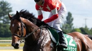 牝馬優勢もあえて牡馬。アイビスSDは格下レッドラウダが下克上する