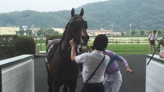 土曜福島１１Ｒ・白河特別は伏兵ナムラアッパーが制す