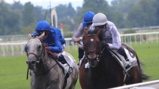 武豊ジェニアルが史上初の快挙！条件馬が海外重賞制覇！