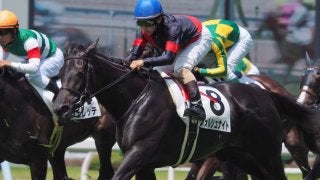 【小倉4R/3歳未勝利】フォルシュナイト痛恨の8着