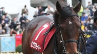 穴党記者が耳打ち。１番人気が強いレパードＳでも高配当狙える３頭