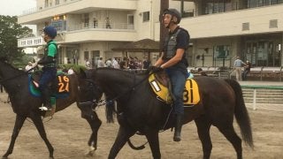 【アイビスSD】芝レース初参戦が千直
