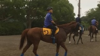 【アイビスSD】アペルトゥーラ 国枝師「この条件があっている」