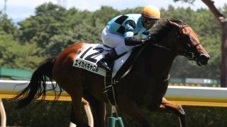 【新潟5R/2歳新馬】ロードカナロア産駒 エイカイキャロルが抜け出し快勝！