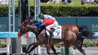 【札幌6R/2歳新馬】リープリングスターが一騎打ちをハナ差制してデビュー勝ち！
