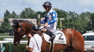 【札幌6R/新馬戦】ルメール「力があります」リープリングスターが直線差し返す