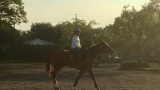 【レパードS】イダペガサス 左回りで反撃狙う