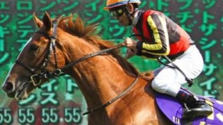 関屋記念で、帰省先への手土産をゴージャスにしちゃう４頭を見っけ