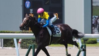 【小倉5R/2歳新馬】ジャスタウェイ産駒 ヴェロックスが8馬身差圧勝！