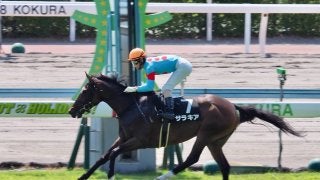 【小倉9R/青島特別】圧倒的人気サラキアがレコードV！初の古馬対戦も物ともせず