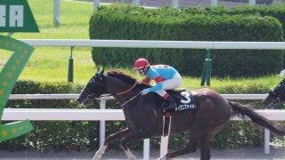 【小倉10R/天草特別】ディグニファイドが4角先頭から押し切る