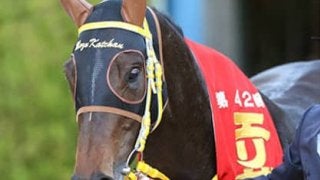 マカヒキもマサカと驚く可能性。札幌記念は4歳の牡牝２頭に勝算あり
