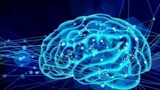 スポーツに活用され始めているICT。イチローの体験から紐解く効果