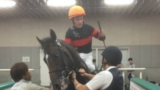 土曜新潟５Ｒ新馬はホウオウサーベルが１番人気にこたえる