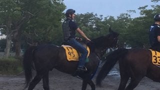 【関屋記念】ヤングマンパワー 関屋記念巧者で復活習う