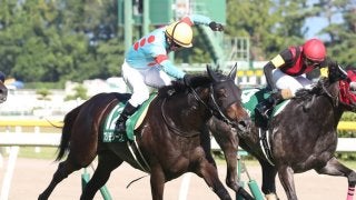 【新潟11R/関屋記念】最軽量プリモシーンが豪快に差し切りV！