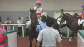 日曜新潟６Ｒ新馬はダノンジャスティスが圧巻Ｖ