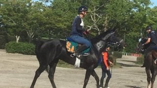 【注目新馬】ブラックタイド産駒プロスペリティ 