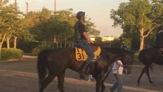 【NST賞】ベストマッチョ 実績のあるダートで巻き返し