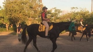 【NST賞】ドリームドルチェ 得意の新潟で期待高まる