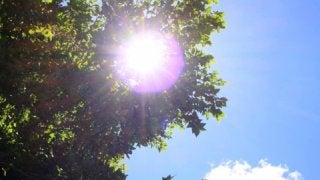 我慢強い人ほど注意！熱中症の正しい対策と対処法