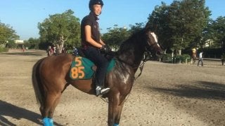 【新潟２歳Ｓ】スティルネス 兄に3年前の覇者ロードクエスト