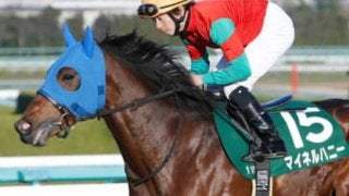 新潟記念は、荒れ馬場得意の「穴馬」に勝利の女神が優しく味方する