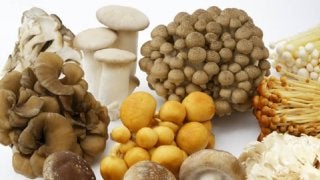 食物繊維が豊富で低カロリー！ダイエット中の食事はきのこを積極的に