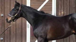 確かな実力を秘めたリスト。不運に泣かされた兄たちの無念を晴らすか