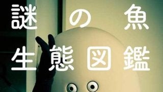 ロッテ謎の魚が10月5日に初写真集を発売「限界ギリギリのショットにも挑戦」