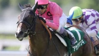 ３歳馬とアイビスSD組。セントウルＳの穴パターンにはまる４頭を発見