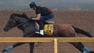 京成杯オータムＨは「差し馬」に妙あり。牡５歳が名誉を挽回する
