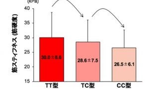 スポーツ選手の肉離れなどの筋損傷リスクに関連する遺伝要因を解明…順天堂大学